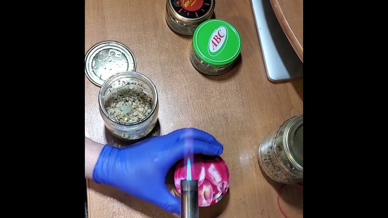 Триходерма на перловке от А до Я за 4 дня. Часть первая