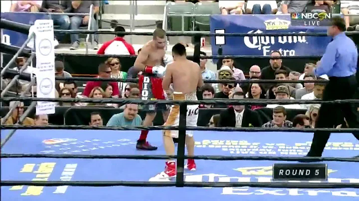 Vic Darchinyan vs Jesus Cuellar Full Fight