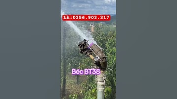 Béc tưới cơ chế bánh răng nghiêng - BT38 - Ren 60. Bán kính tối đa 38m 1 bên.