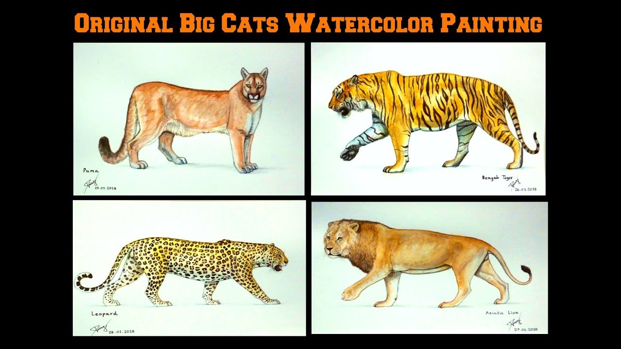 Кто сильнее ягуар или тигр. Лев тигр леопард Ягуар. Тигр Лев и леопард. Лев, тигр, леопард Ягуар, пантера. Ягуары львы тигры.