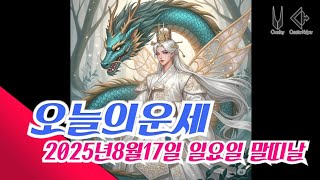 오늘의운세 2025년8월17일 일요일 말띠날 오늘의운세 #운세 #오늘의운세