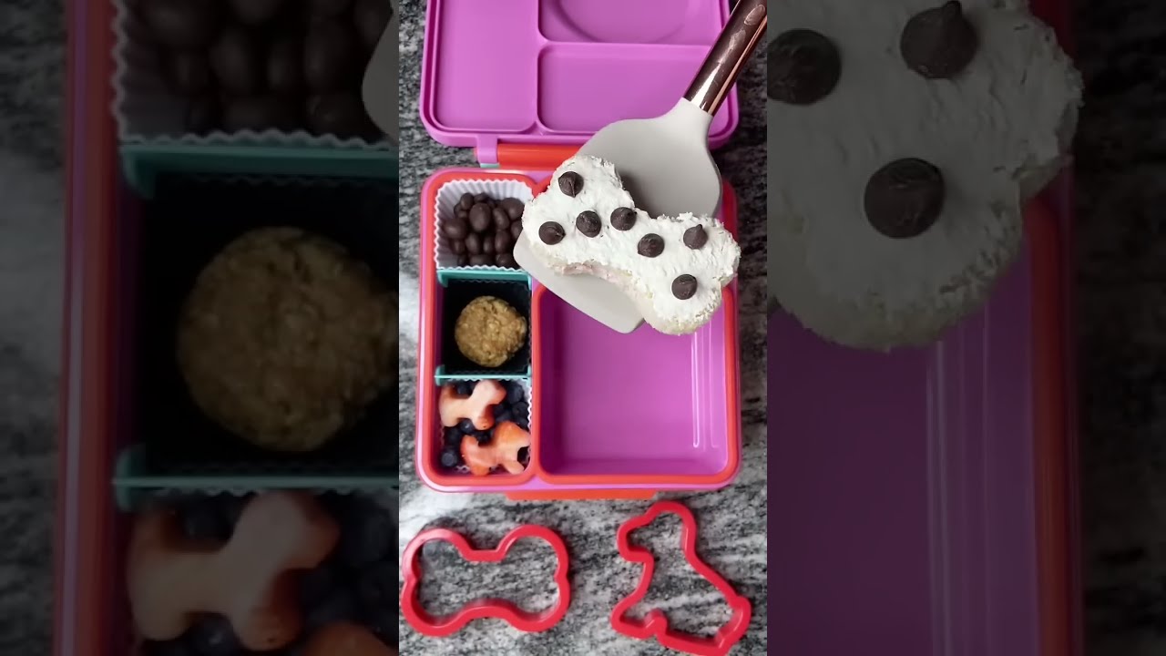 101 Days Of School Lunch Bento Kidslunchboxidea Lunchbox Lunchboxideas