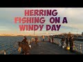Herring Fishing at Magnolia Pier | Long Island