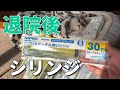 老猫の給水用に買ったシリンジと退院後の様子　20/12/13