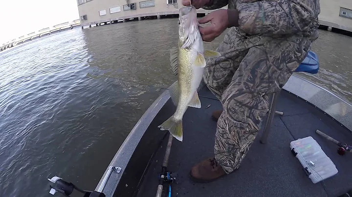 Afton Campbell Fishing 2015