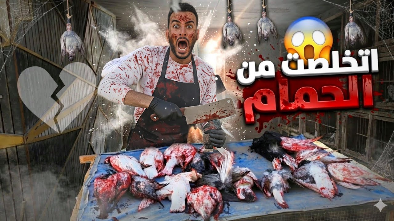 اتخلصت من الزاجل 😱 دبح.ت الحمام كله(تعبي راح)