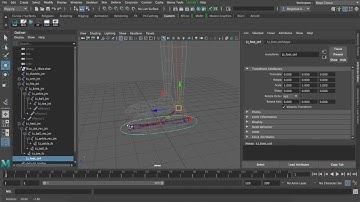 Basics of Reverse Foot Setup