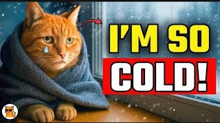 91% of Owners Make THESE Winter Mistakes | Should AVOID  7 Winter Mistakes Avoid These