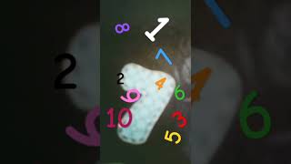 Learn Counting (1 - 10) with Photos Objects Resparations but Comic Neue Bold Font screenshot 1