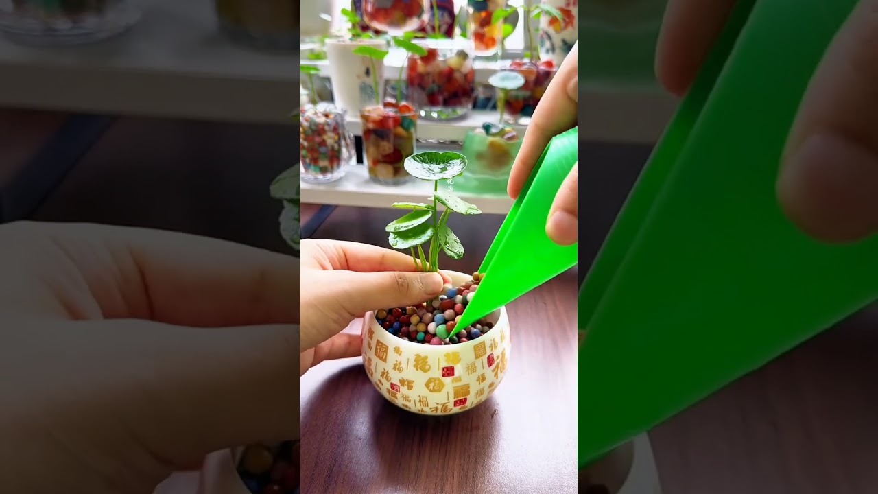 Natural Life plants grass flowers in cup color amazing #diy #plants #beautiful #amazing