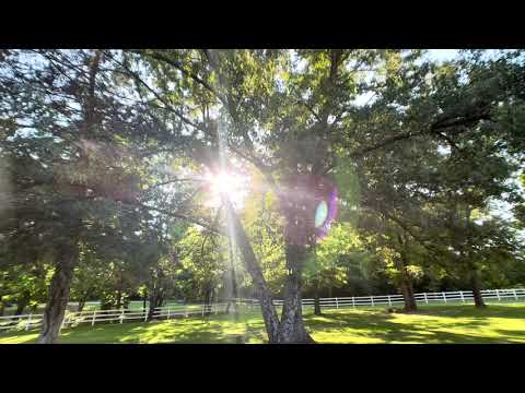 143 Madison 7343 Rd, Huntsville, AR home video tour