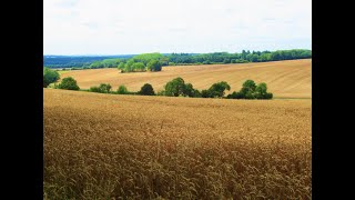 Original Worzel Gummidge Filming Location for Ten Acre Field