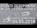 БУДЬТЕ ОСТОРОЖНЫ /  МЕДВЕДИ ПРОСНУЛИСЬ