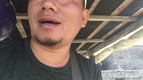 Câu cá bè Long Sơn L5