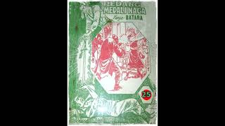 Seri Cerita Silat Pedang Medali Naga Jilid 25