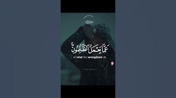 ولا تحسبن الله غافلا حالات واتس اب دينية تلاوة مؤثرة تريح القلوب انس الشافعي #ارح_قلبك_وروحك