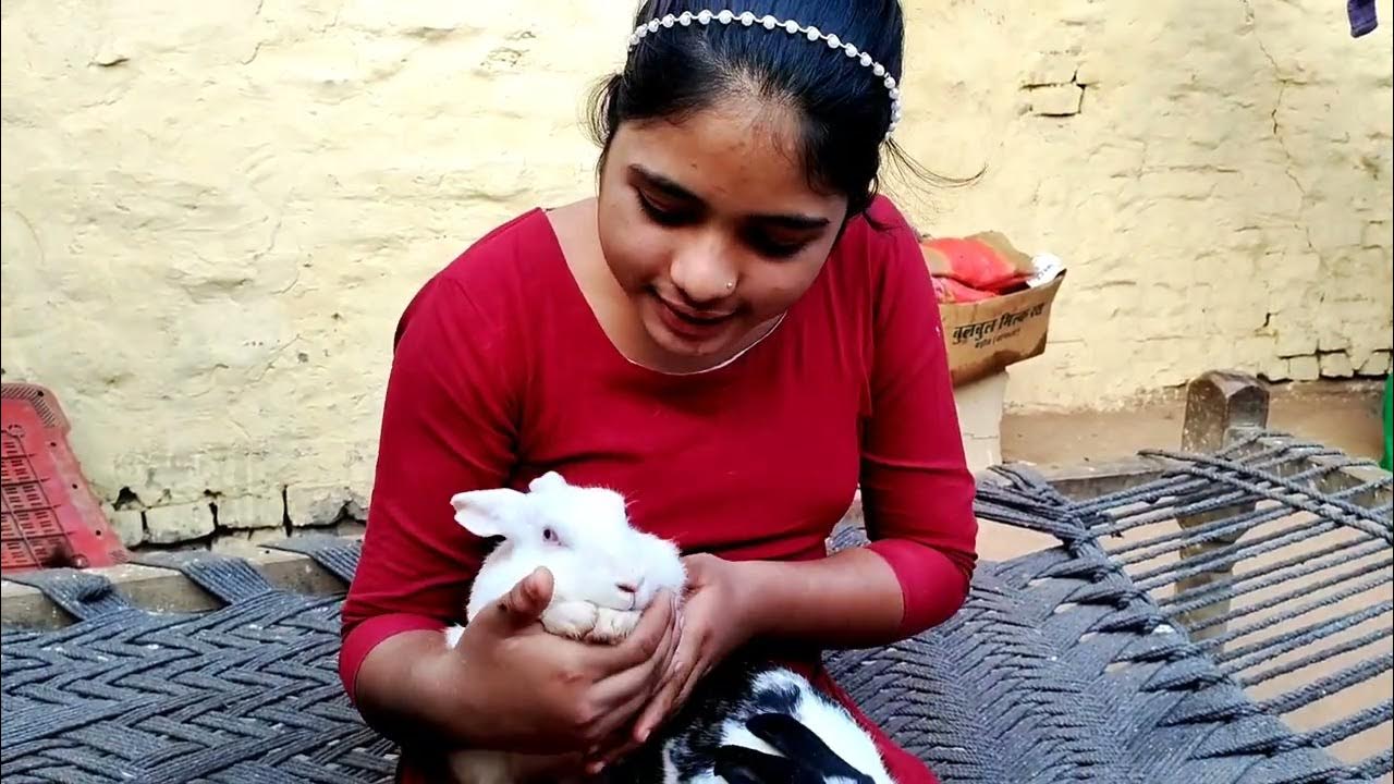 Yah Kitne Pyare Hain Aur Kitne Sundar YouTube yah-kitne-pyare-hain-aur-kitne-sundar-youtube