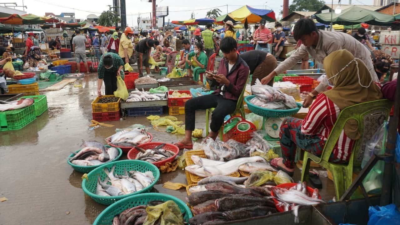 Market show : '' Wet market '' Ocean food is so fresh - Yummy Ocean food cooking