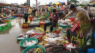 Amazing Site Distributes SeaFood & Fish @Chhbar Ampov  Morning Fish Market Scene Show