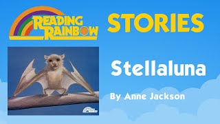 Stellaluna Story