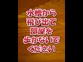 アクアリウムのヤマトヌマエビにお願いしたい事3選/水草水槽 レイアウト 熱帯魚 ペット メダカ #shorts