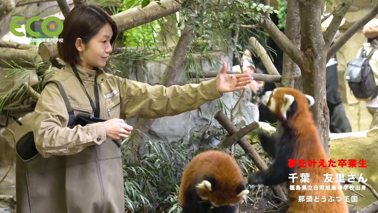 動物園 動物飼育専攻 仙台eco動物海洋専門学校