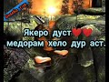 Якеро дуст ❤️ медорам хело дур аст