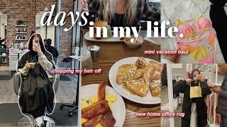 DAYS IN MY LIFE | chopping my hair, vacation shopping \& haul, new office rug, brunch, \& more!