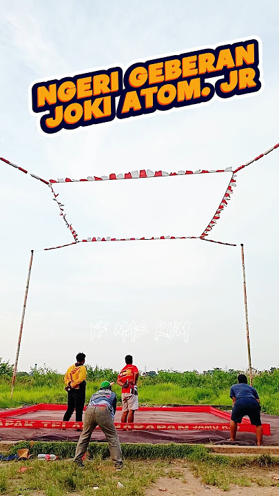 🔴THE SCARY THROAT | ATOM JR VS AL DC REBOUND | 8 BIRDS REMAINING #pigeon #merpatiinyong #pigeon