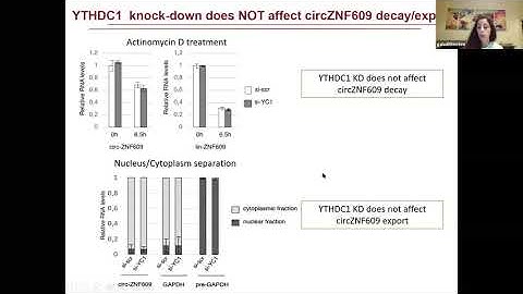 [Gaia Di Timoteo]Modulation of circRNA Metabolism by m6A Modification