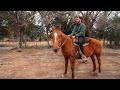 Unos gauchos me enseñan a andar a caballo | Costumbre y tradición argentinas