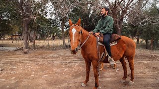 Unos gauchos me enseñan a andar a caballo | Costumbre y tradición argentinas