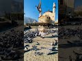 شادو شمشره جومات کابل Afghanistan 