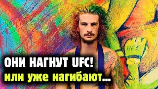 видео: НОВОЕ ПОКОЛЕНИЕ ЗВЕЗД UFC! Обзор лучших типов нового поколения в каждой весовой картинка: НОВОЕ ПОКОЛЕНИЕ ЗВЕЗД UFC! Обзор лучших типов нового поколения в каждой весовой
