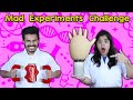 Mad Science Experiments Challenge | Hungry Birds