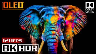 BEST OLED TEST VIDEO 2026 - Ultimate Nature Showcase in 8K HDR | Dolby Vision™ 4K TV