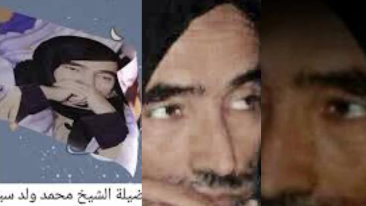 الشيخ_محمد_ولد_سيدي_يحي_الأ سئلة_الدرس2#محمد #ولد سيدي يحي#