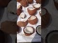 day 2 coconut 🥥 oil method #food