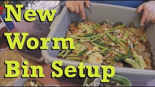 New worm bin setup  vermicomposting