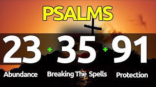 Psalms 233591: THE ESSENTIAL PSALMS FOR ABUNDANCE, BREAKING SPELLS, AND PROTECTION.