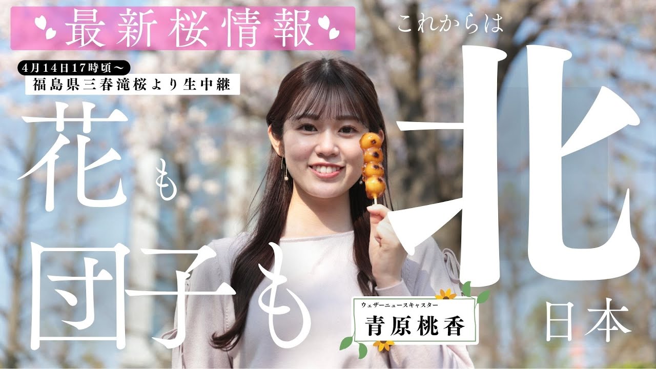 特別配信】最新桜情報〜福島県三春滝桜より〜／2025年4月14日(月)17時