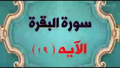 سورة البقرة اية ١٩ جمال القرش