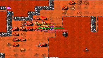 Baiak War - Trap Rotworm