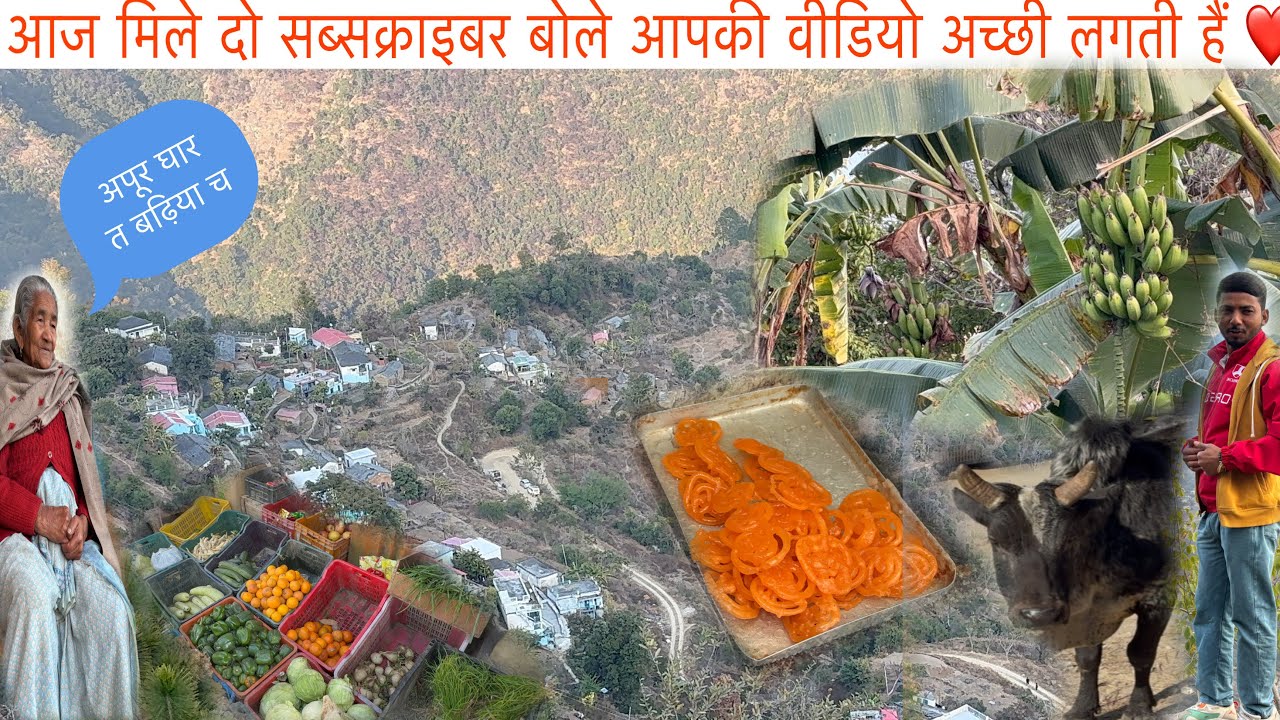 ||कठूड़ गांवों का खूबसूरत नजारा||सेठ जी के लगे है बहुत सारे घर के केले ||