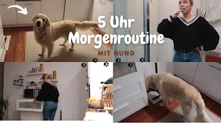 Mein ALLTAG unter der Woche mit HUND