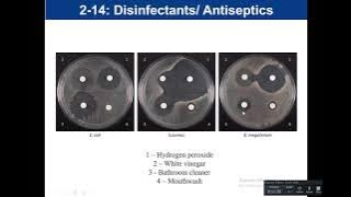 Lab 2-14: Disinfectant and Antiseptics