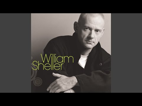 William Sheller : Ils ont transformé le monde de la chanson en  télé-réalité