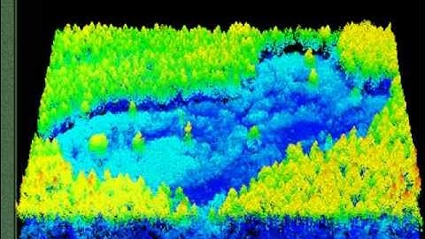 Modeling Biomass and Canopy Fuel Attributes Using LIDAR Technology
