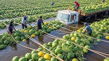 Amazing Machines and Tools Operating At An INSANE LEVEL 1