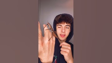 Kyle Thomas 💙 would you hold this?! 🤩 #learnonshort #kylethomas #shorts